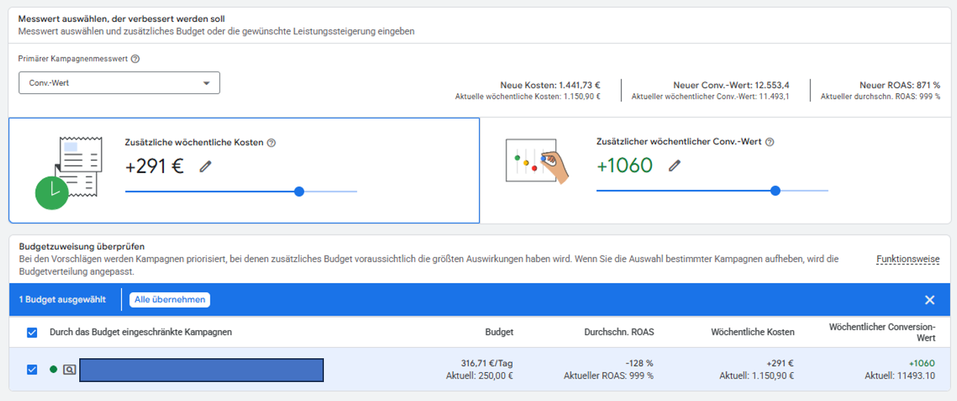 Google Ads Investitionsstrategie