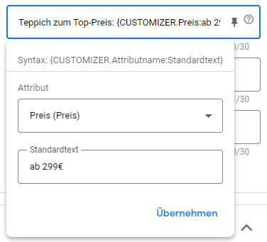 Anzeigenanpassungen für RSA - Customizer-Funktion einfügen