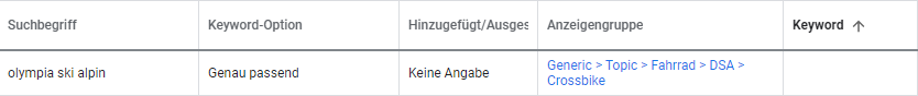 Bericht Suchbegriffe für Dynamische Suchanzeigen