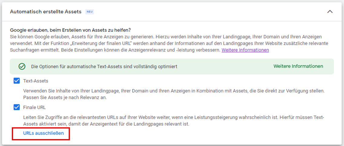 Performance Max - automatisch erstellte Assets
