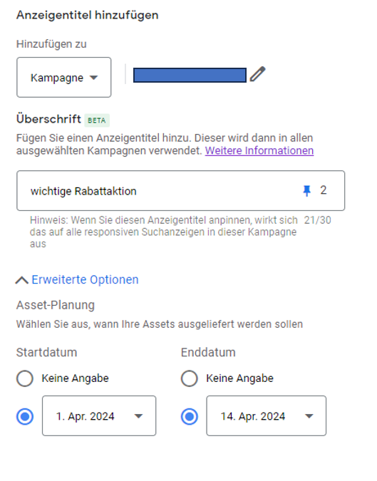 Searchkampagnen: Eingabe Text-Asset mit Planungsfunktion